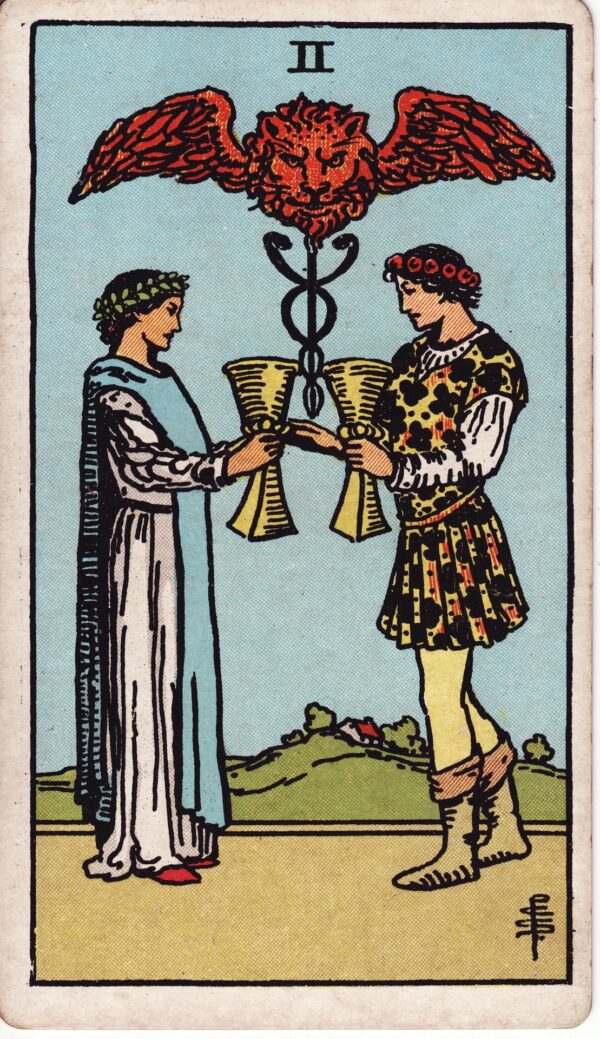 the fool tarot card