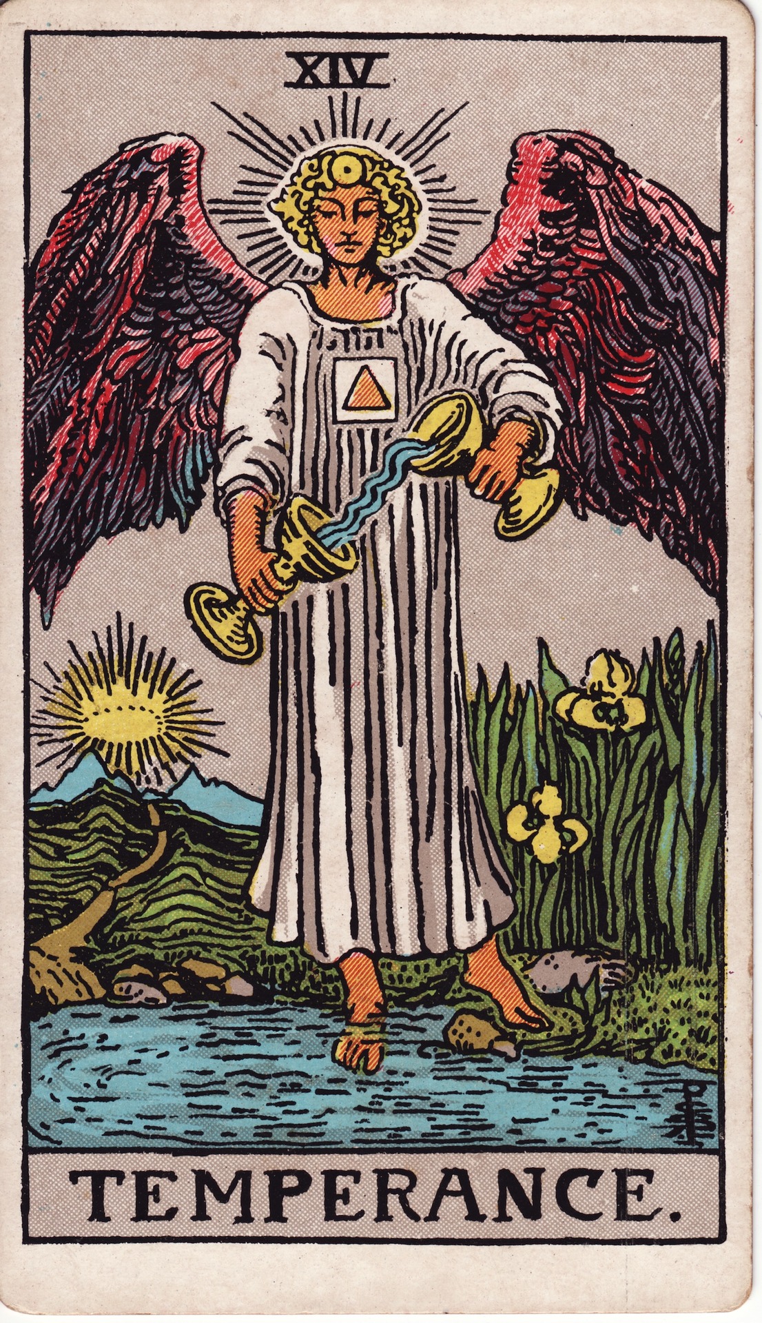 the fool tarot card