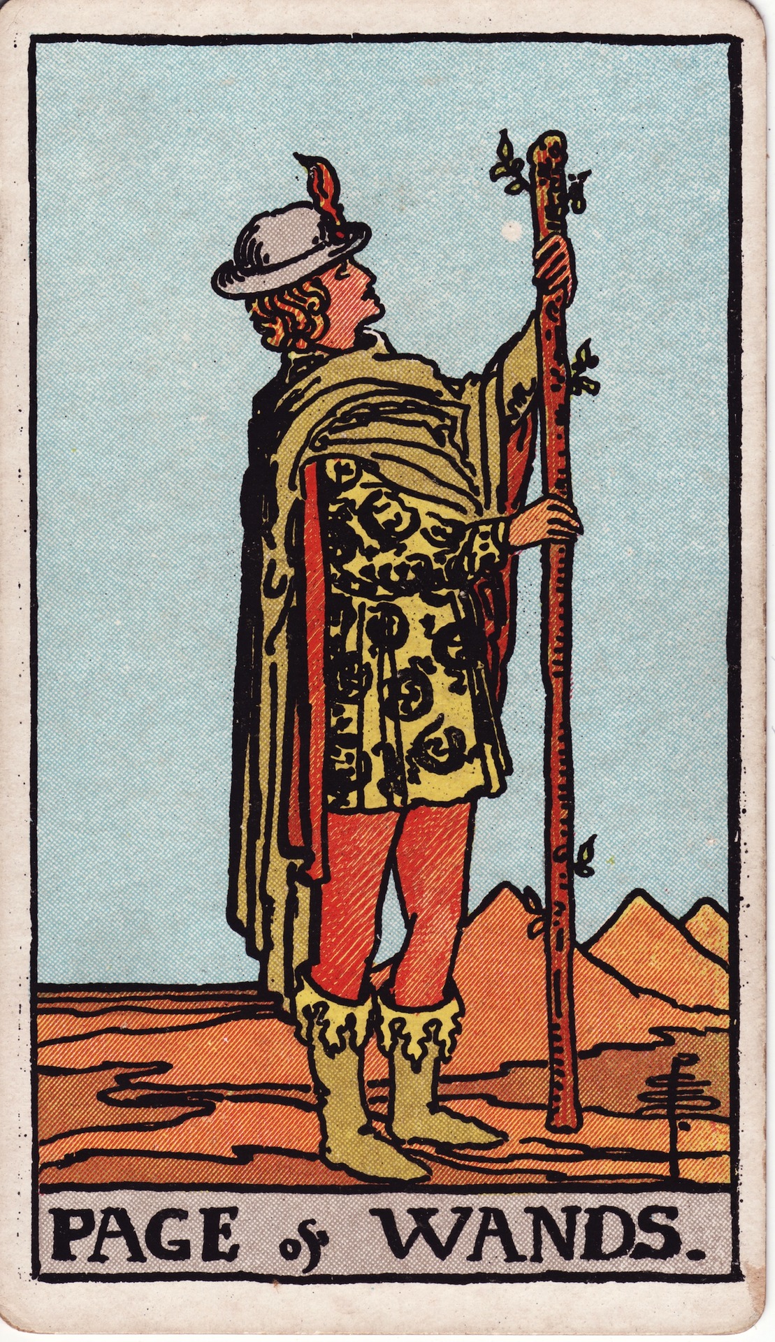 the fool tarot card