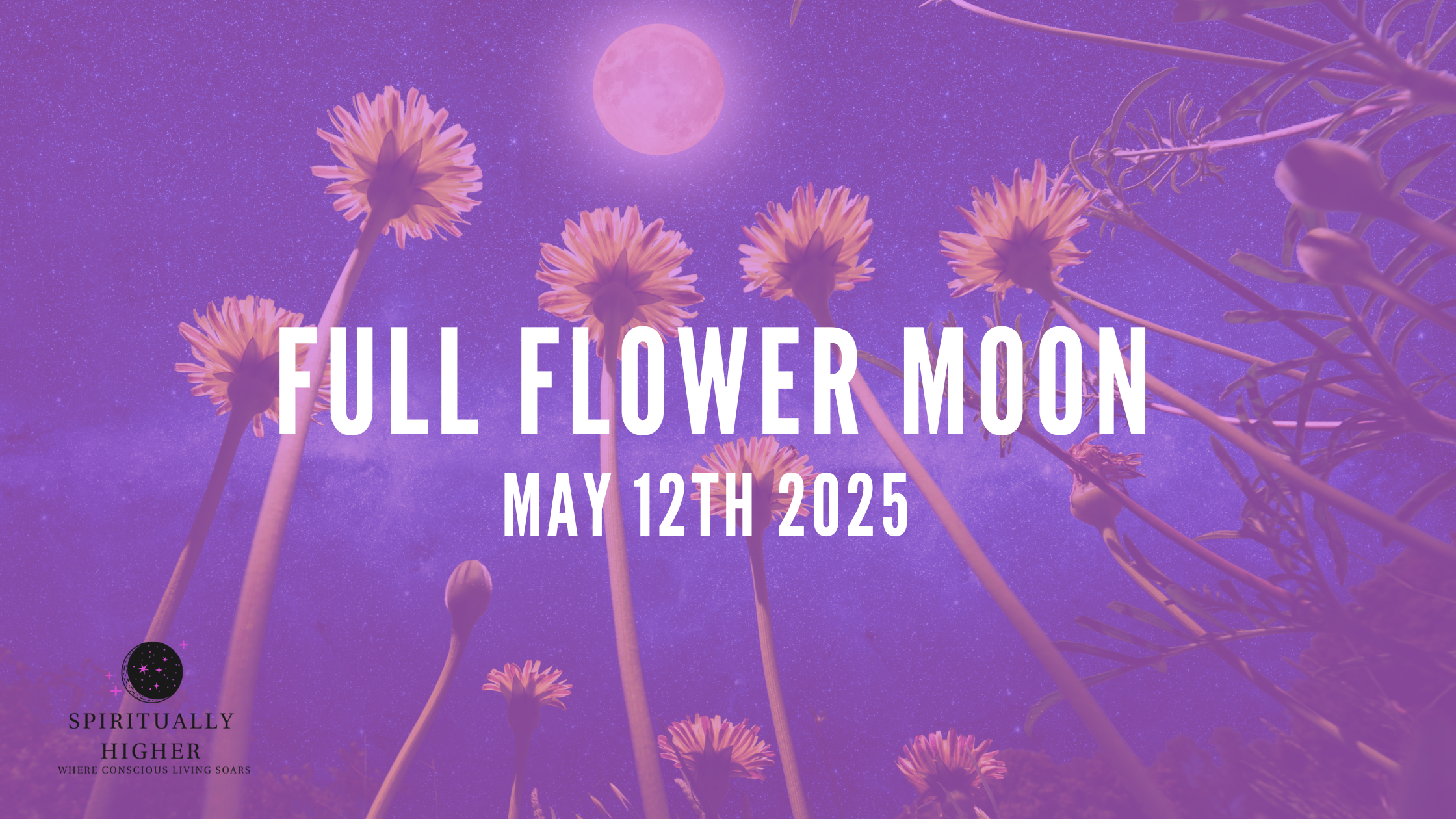 full flower moon